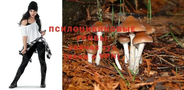 гидра Осташков