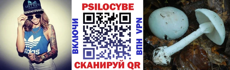 купить  сайты  OMG как войти  Псилоцибиновые грибы прущие грибы  Белёв 